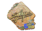 SunPayus (Holo) | Rio 2022 image